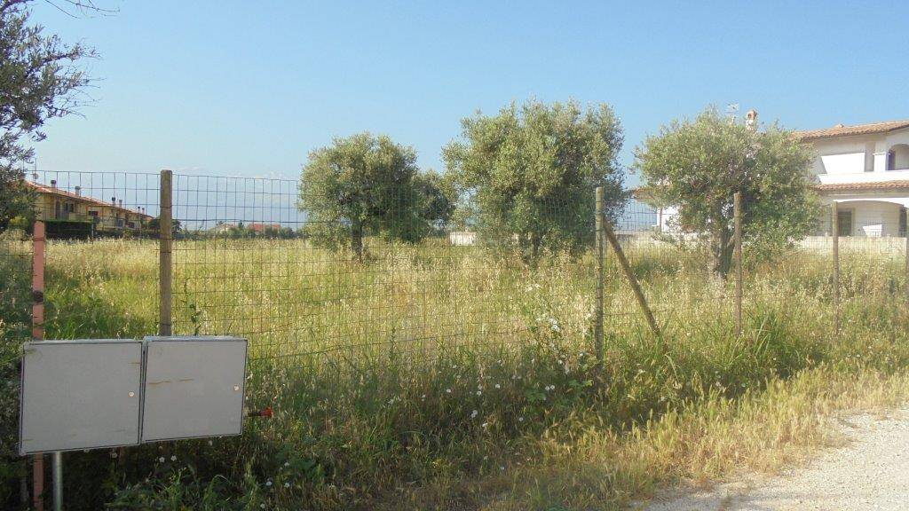 immagine annuncio 3 di 8