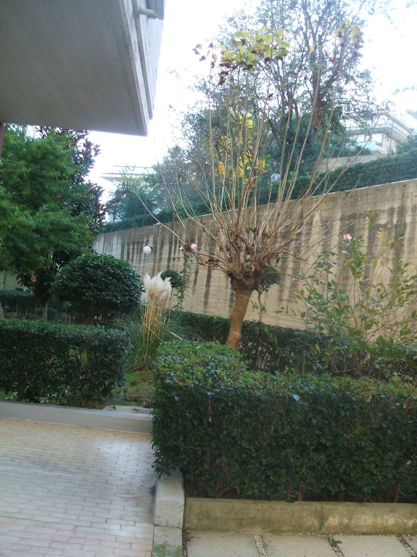 Appartamento in affitto a Chieti