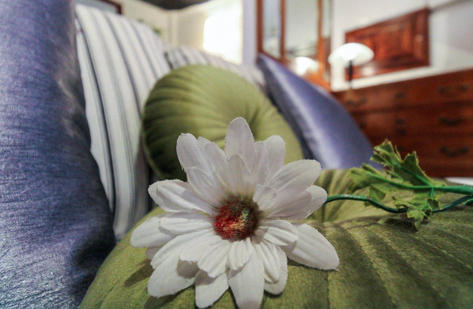 Monolocale in affitto a Stella, San Giovanni