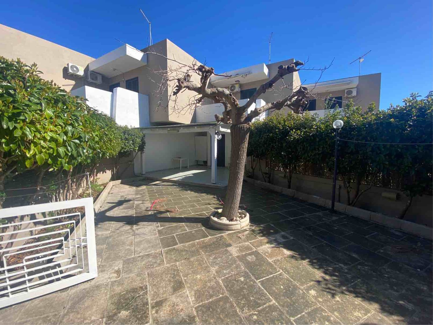 immagine annuncio 2 di 6