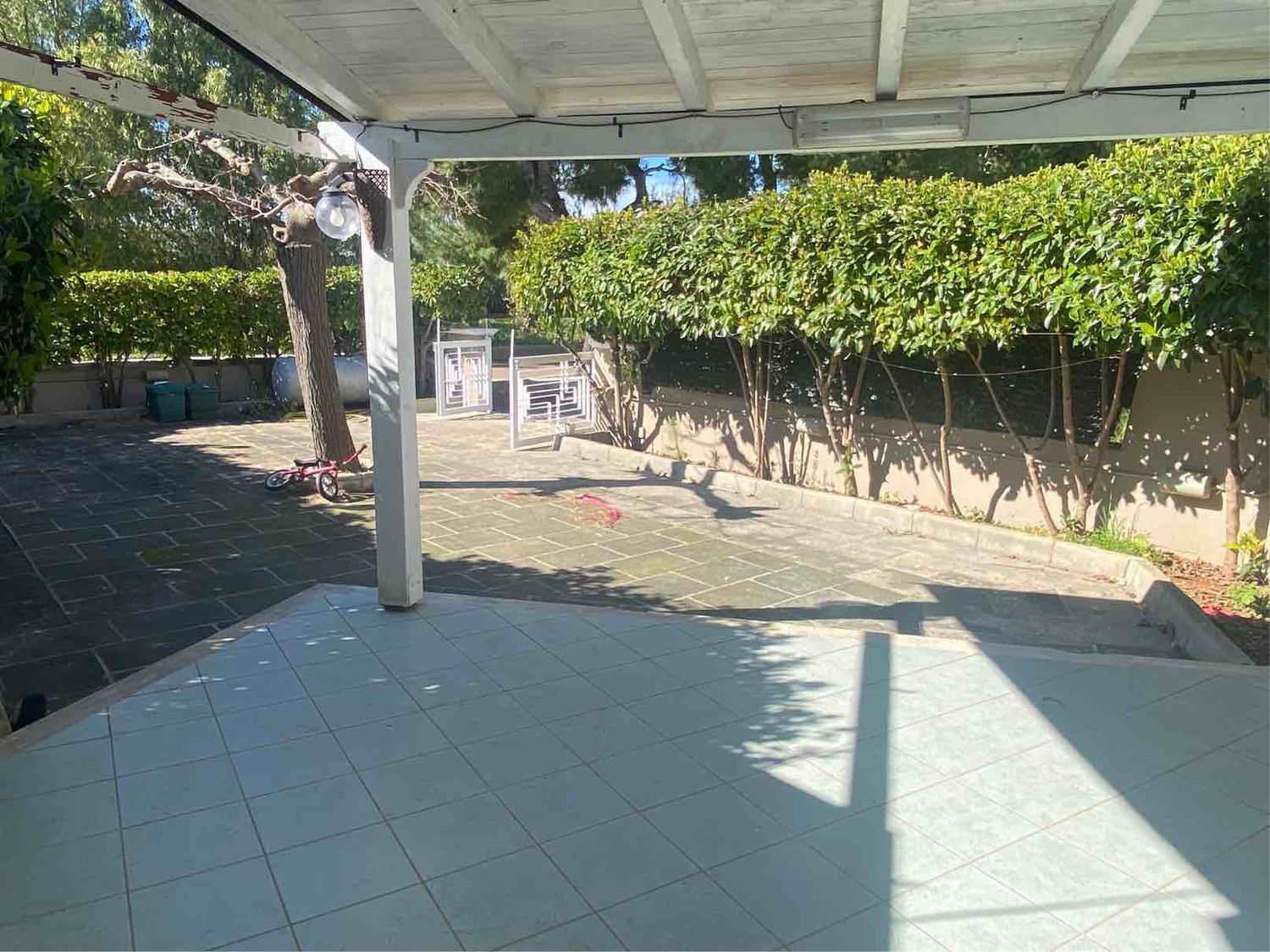 immagine annuncio 3 di 6