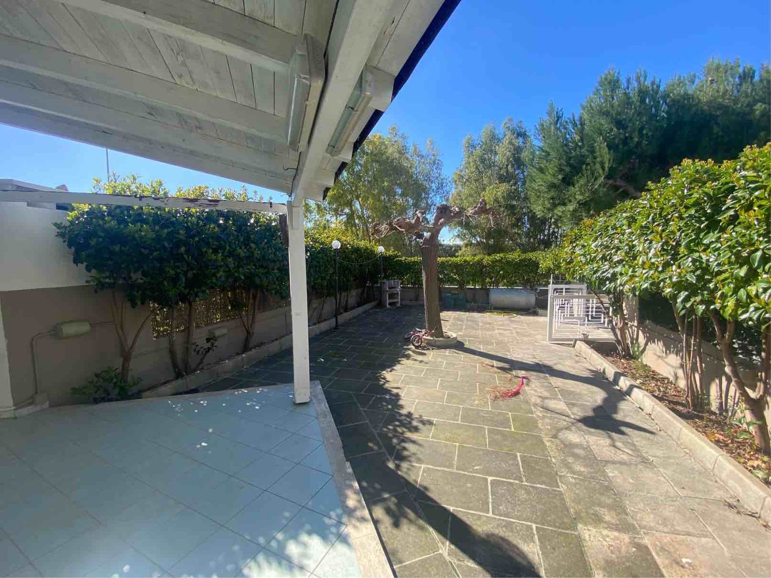 immagine annuncio 5 di 6