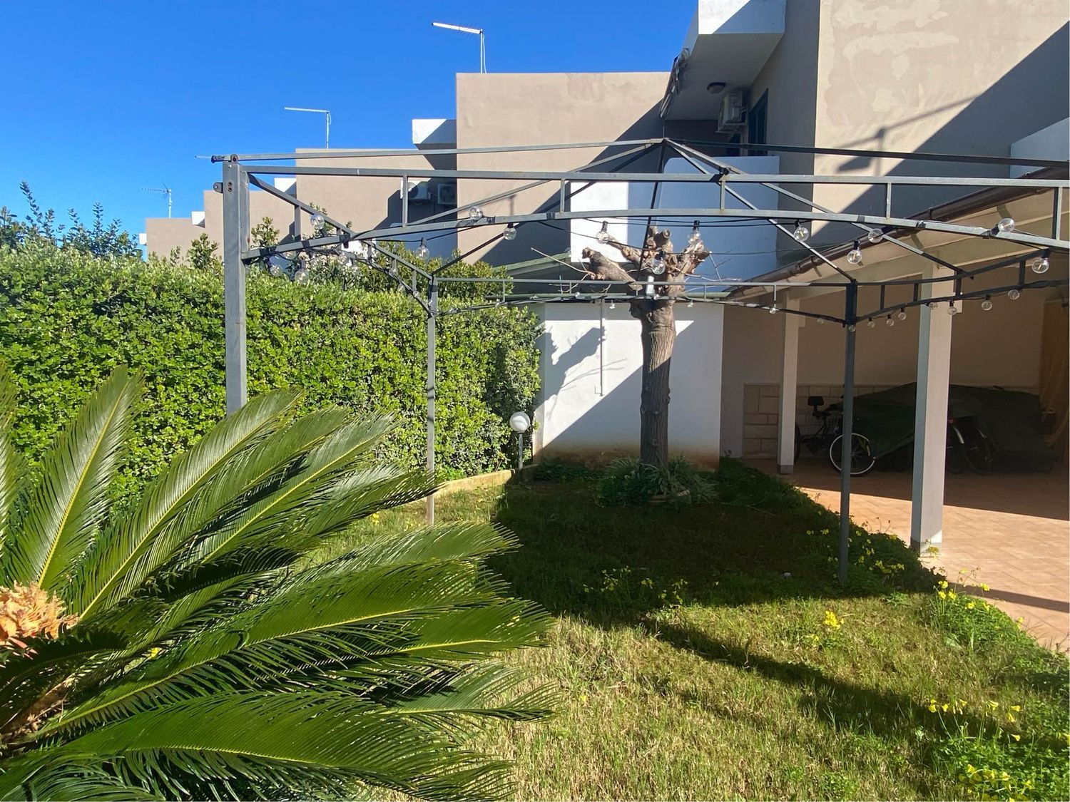 immagine annuncio 5 di 6