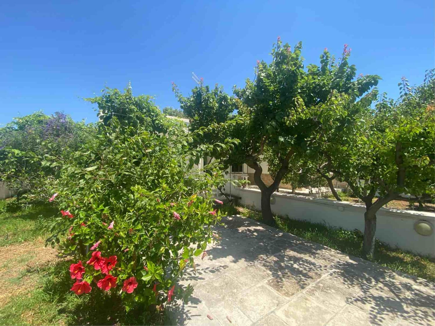 Villa in affitto in viale viale tamerici 61, Carovigno