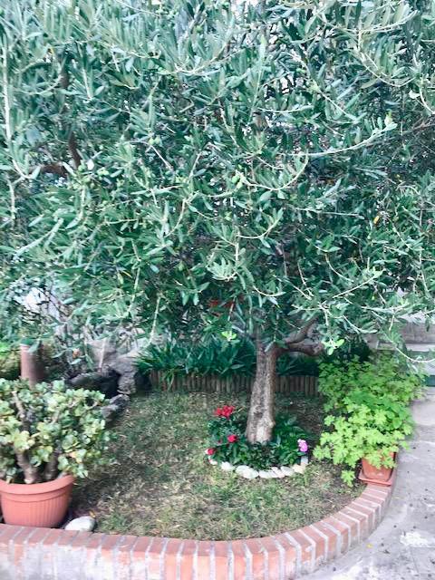 Casa indipendente con giardino a Massa