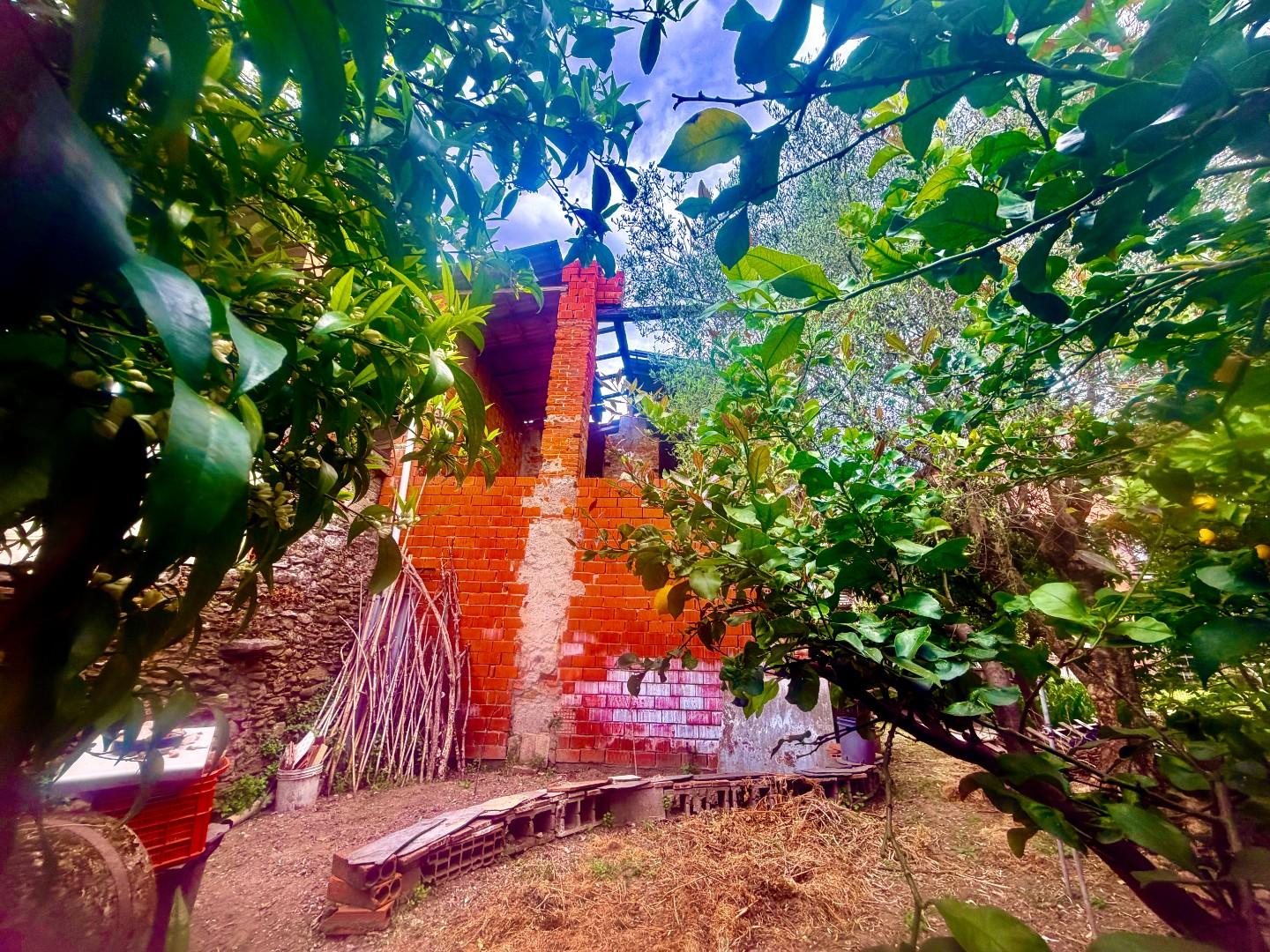 Casa indipendente con giardino, Massa ortola