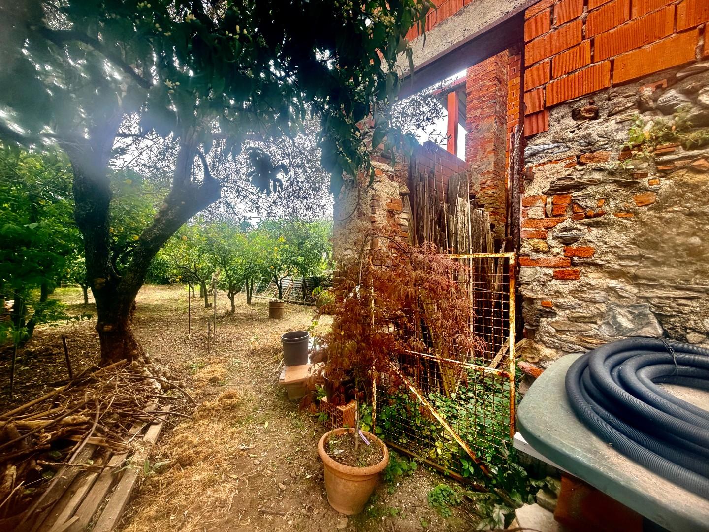 Casa indipendente con giardino, Massa ortola