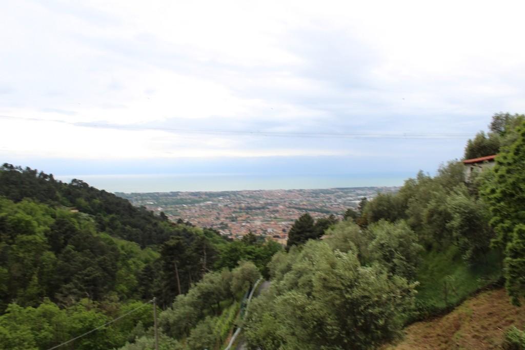 Rustico con giardino, Massa san carlo