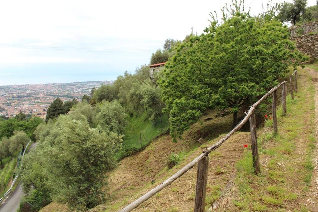 Rustico con giardino, Massa san carlo