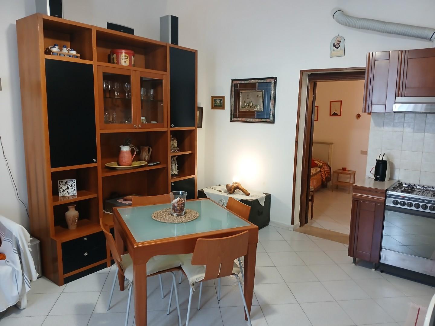 Trilocale arredato in affitto, Pisa marina di