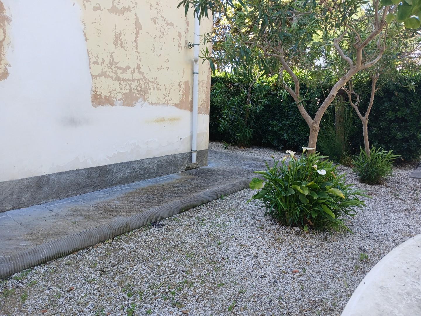 Trilocale arredato in affitto, Pisa marina di