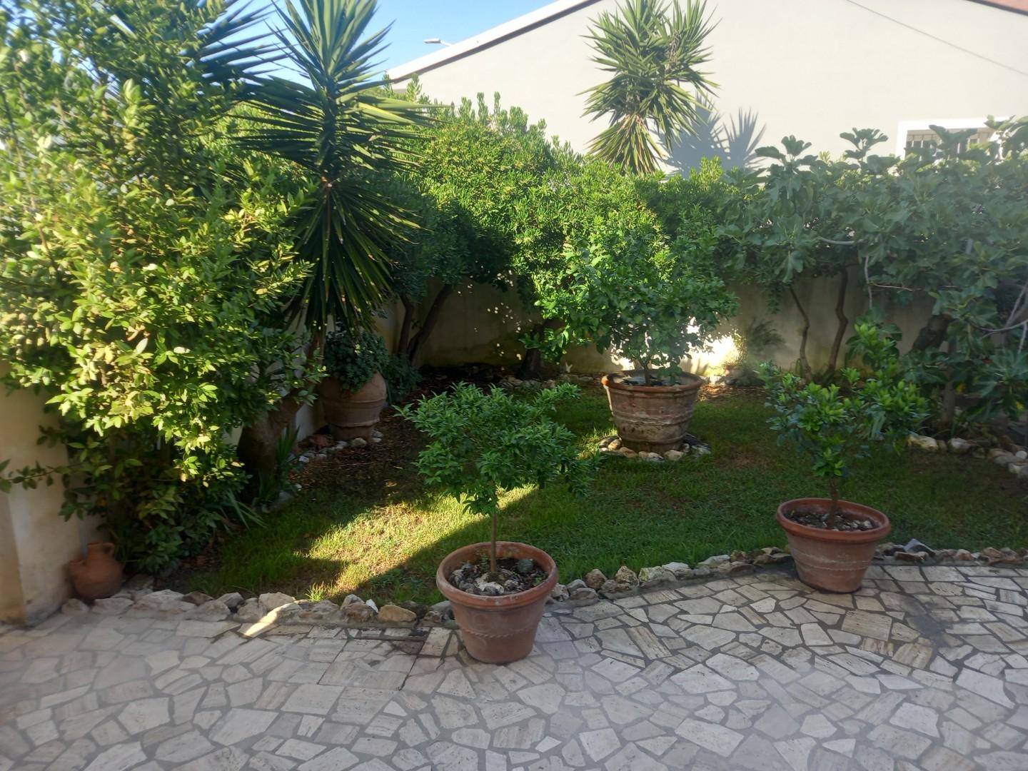 Appartamento arredato in affitto, Pisa marina di