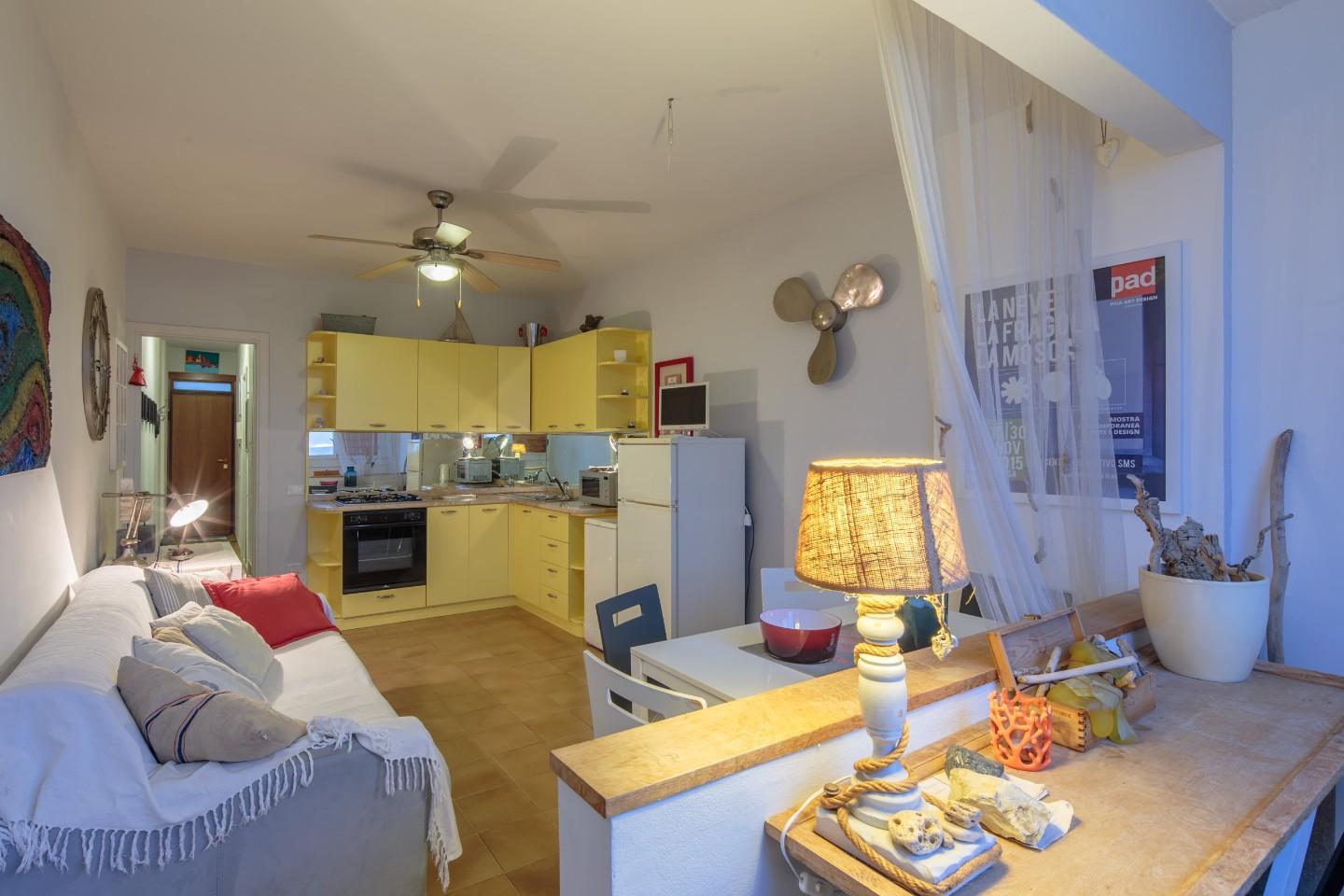 Bilocale arredato in affitto, Pisa marina di