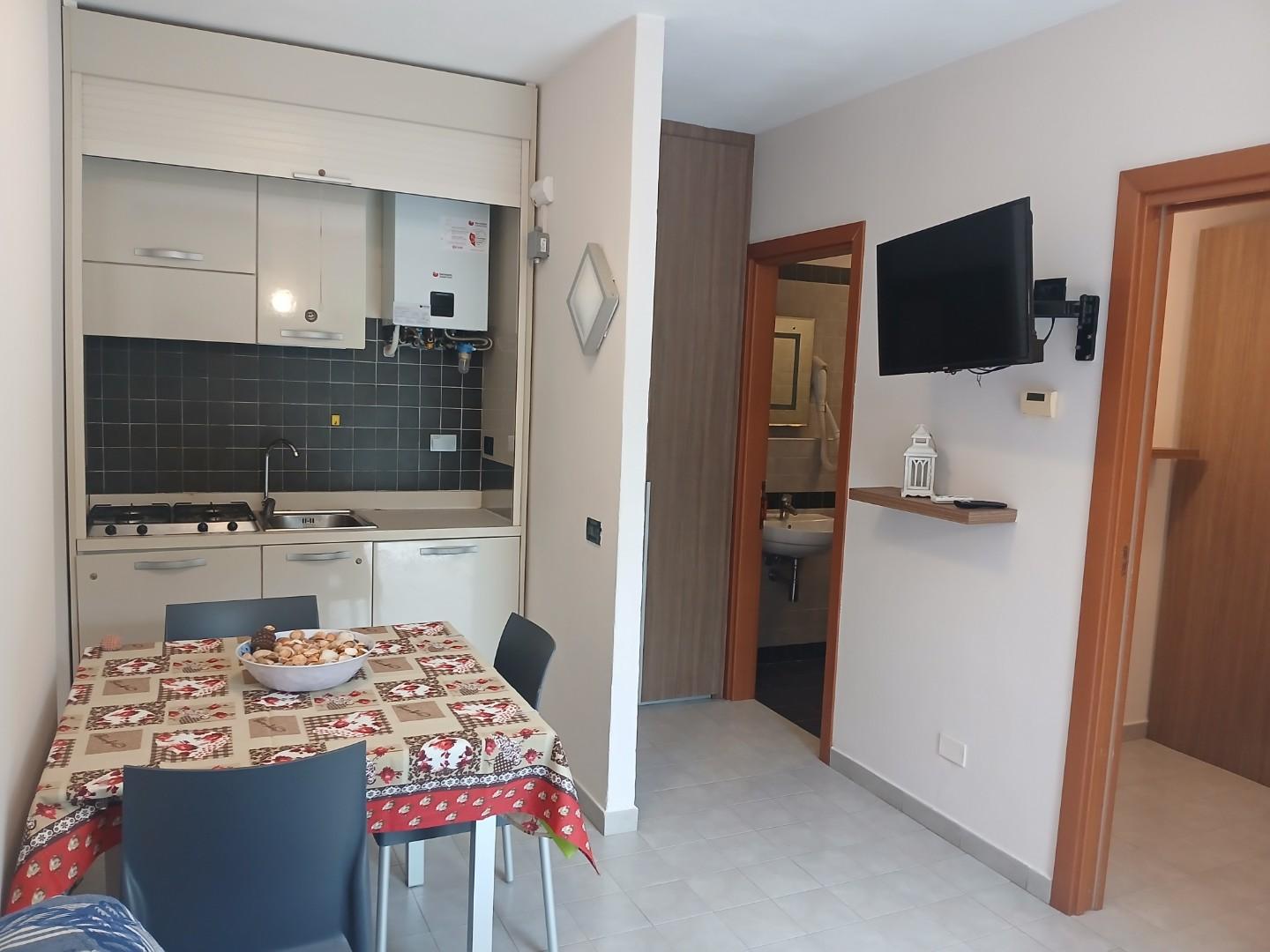 Bilocale arredato in affitto, Pisa marina di