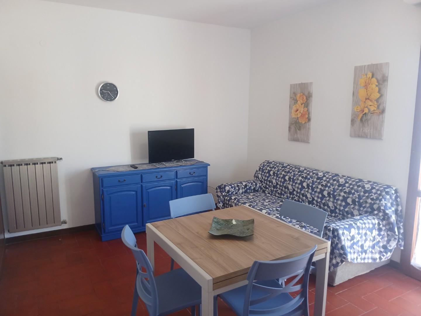 Bilocale arredato in affitto, Pisa marina di