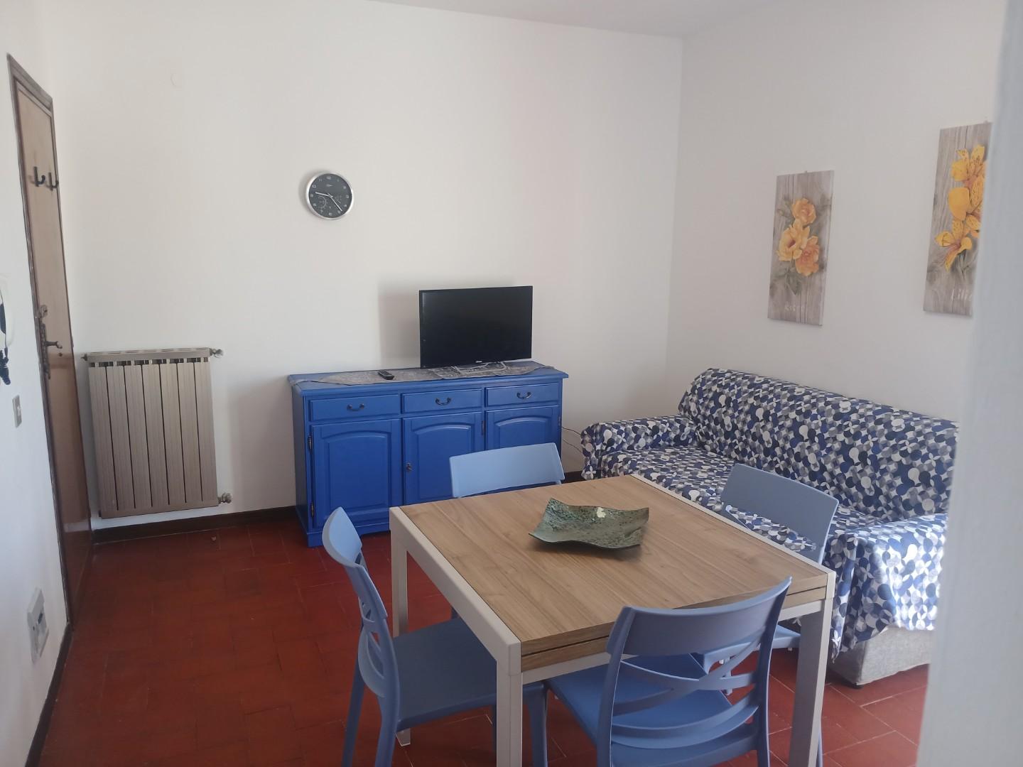 Bilocale arredato in affitto, Pisa marina di