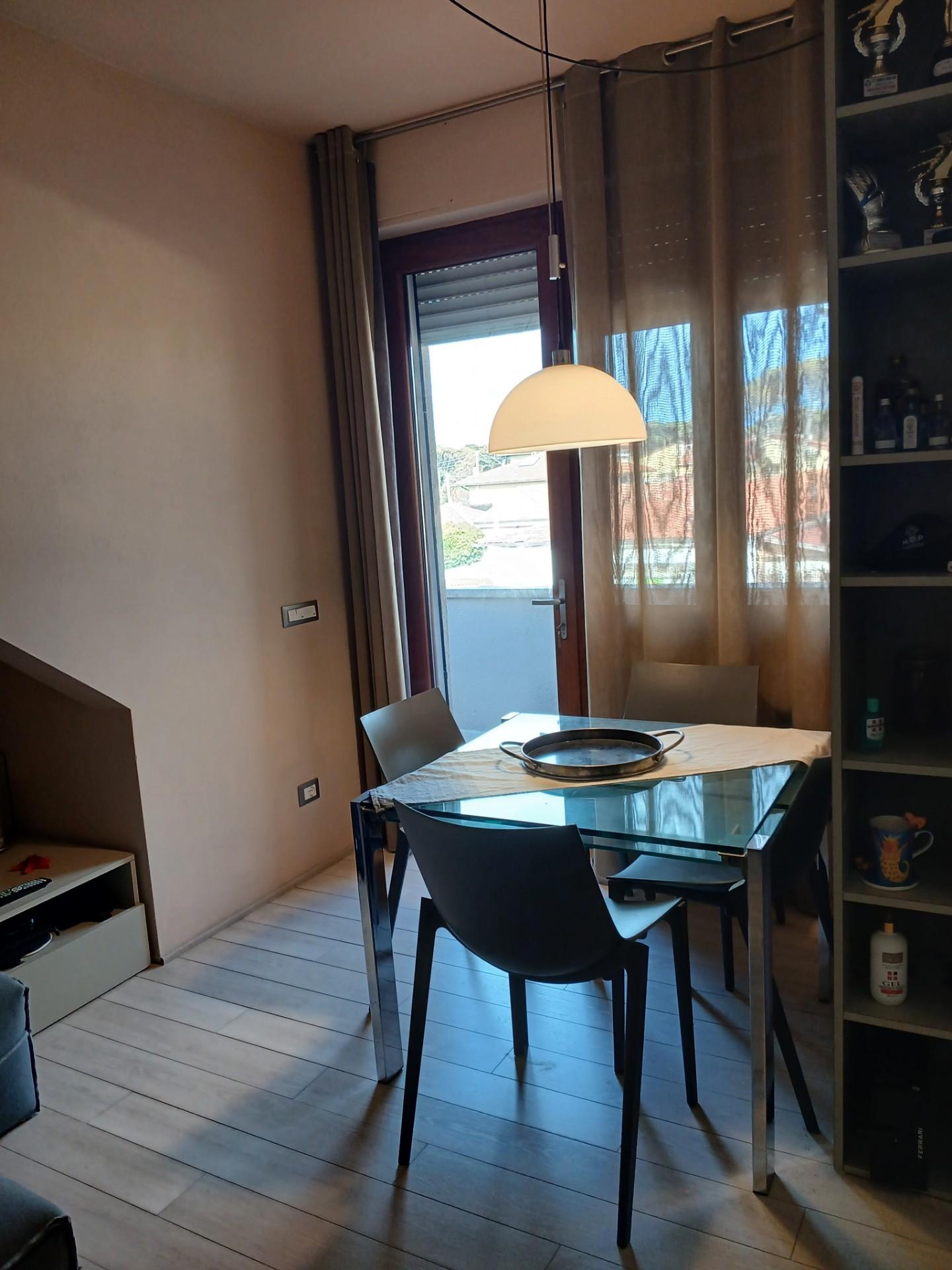 Trilocale arredato in affitto, Pisa marina di