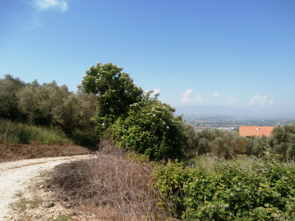 immagine annuncio 4 di 6