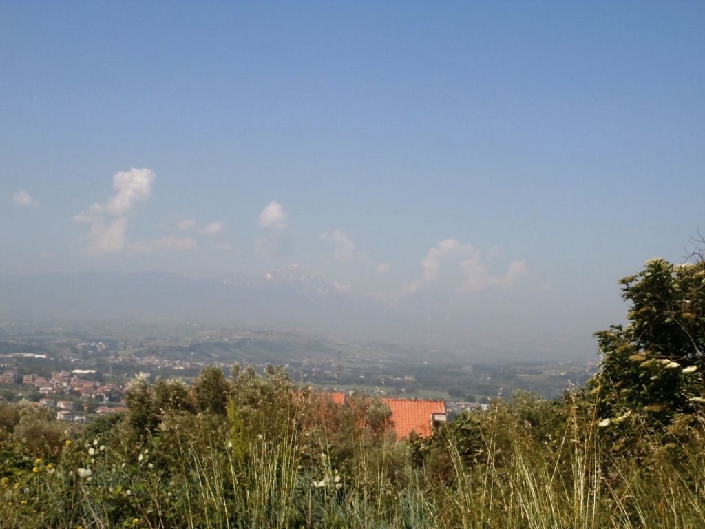 immagine annuncio 5 di 6