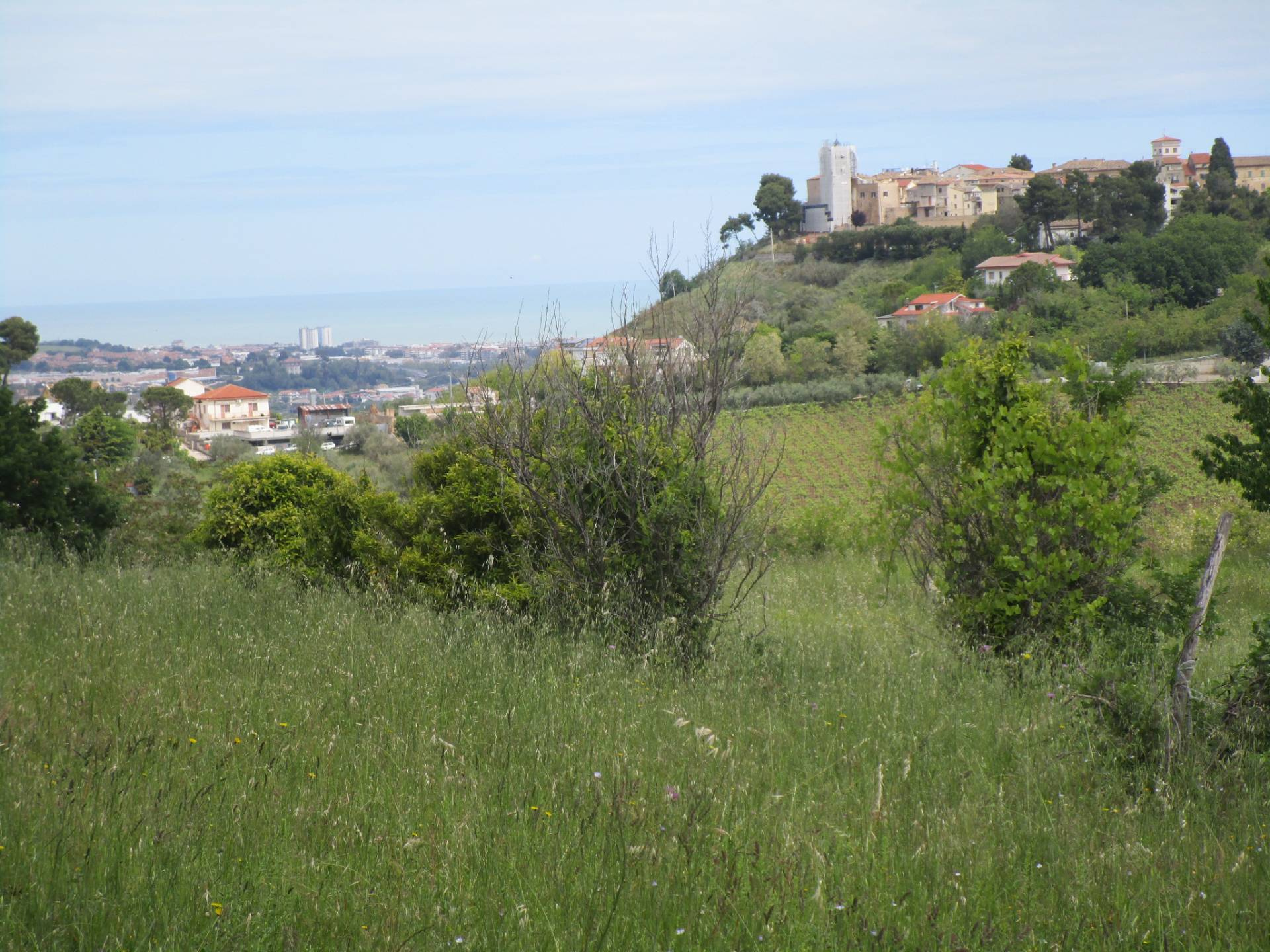 Terreno edificabile in vendita a Montesilvano, Montesilvano colli