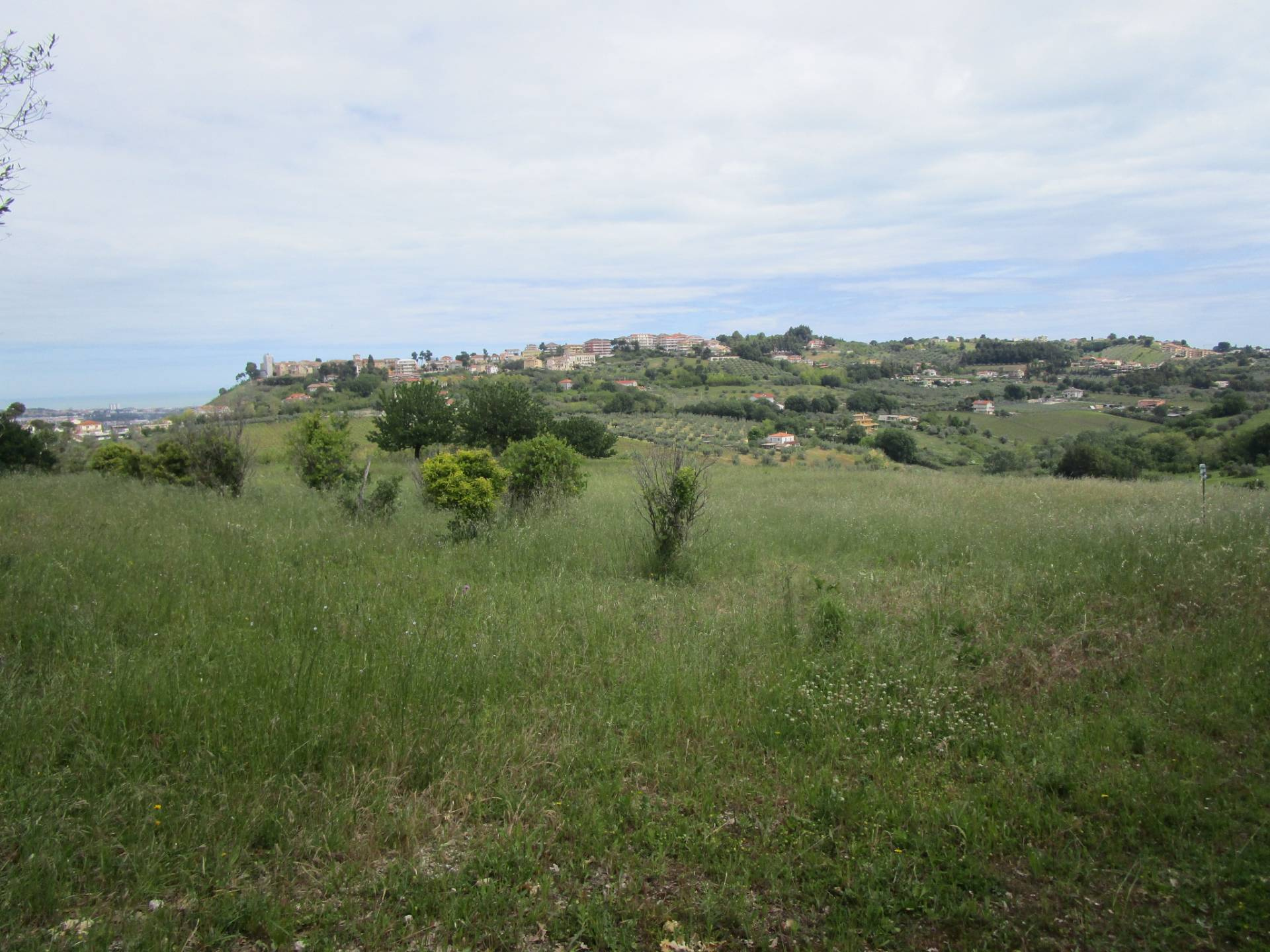 Terreno edificabile in vendita a Montesilvano, Montesilvano colli