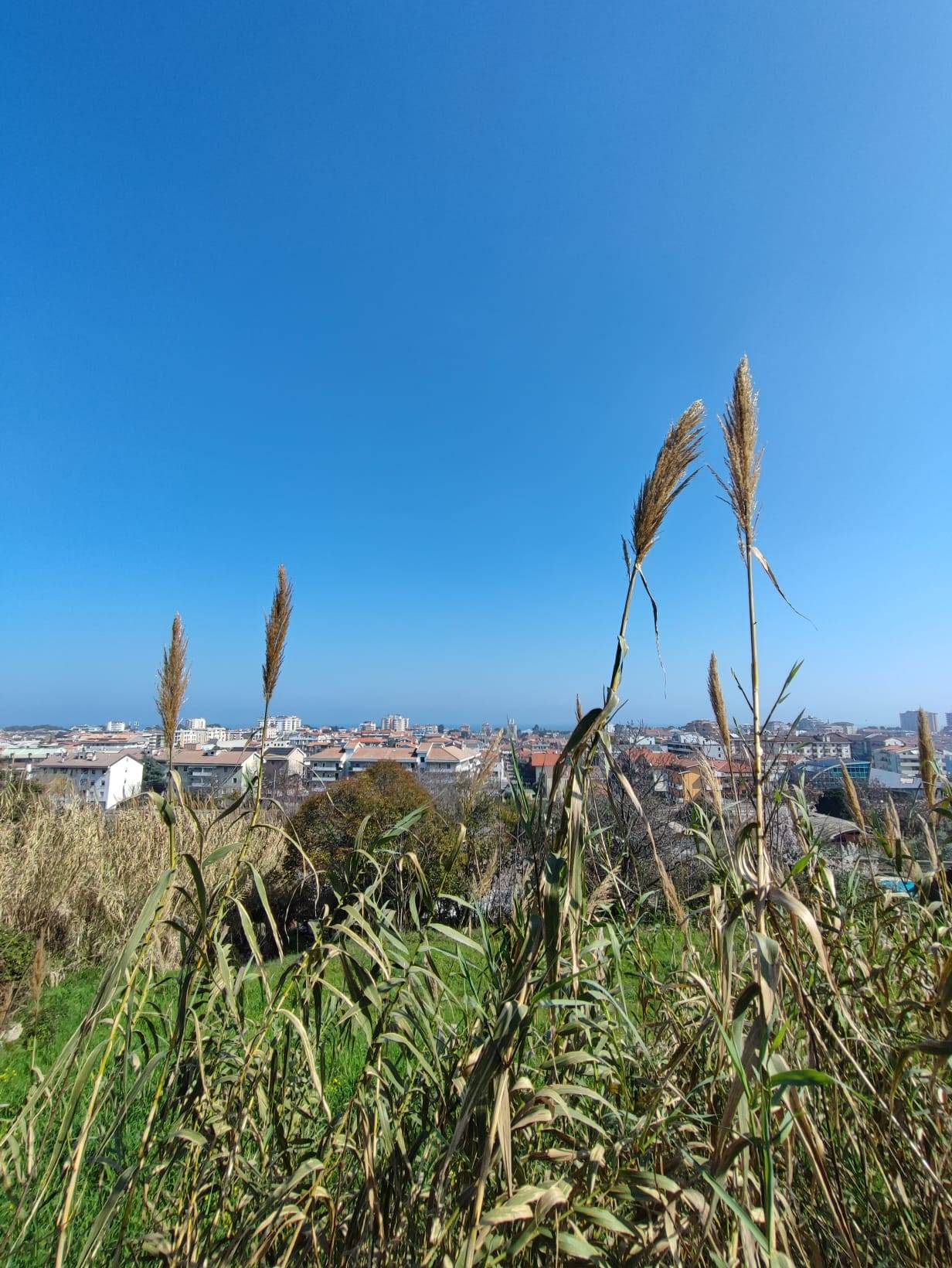 Appartamento in vendita a Montesilvano, Montesilvano colli