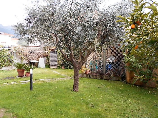 Villa in vendita a Seravezza, Pozzi