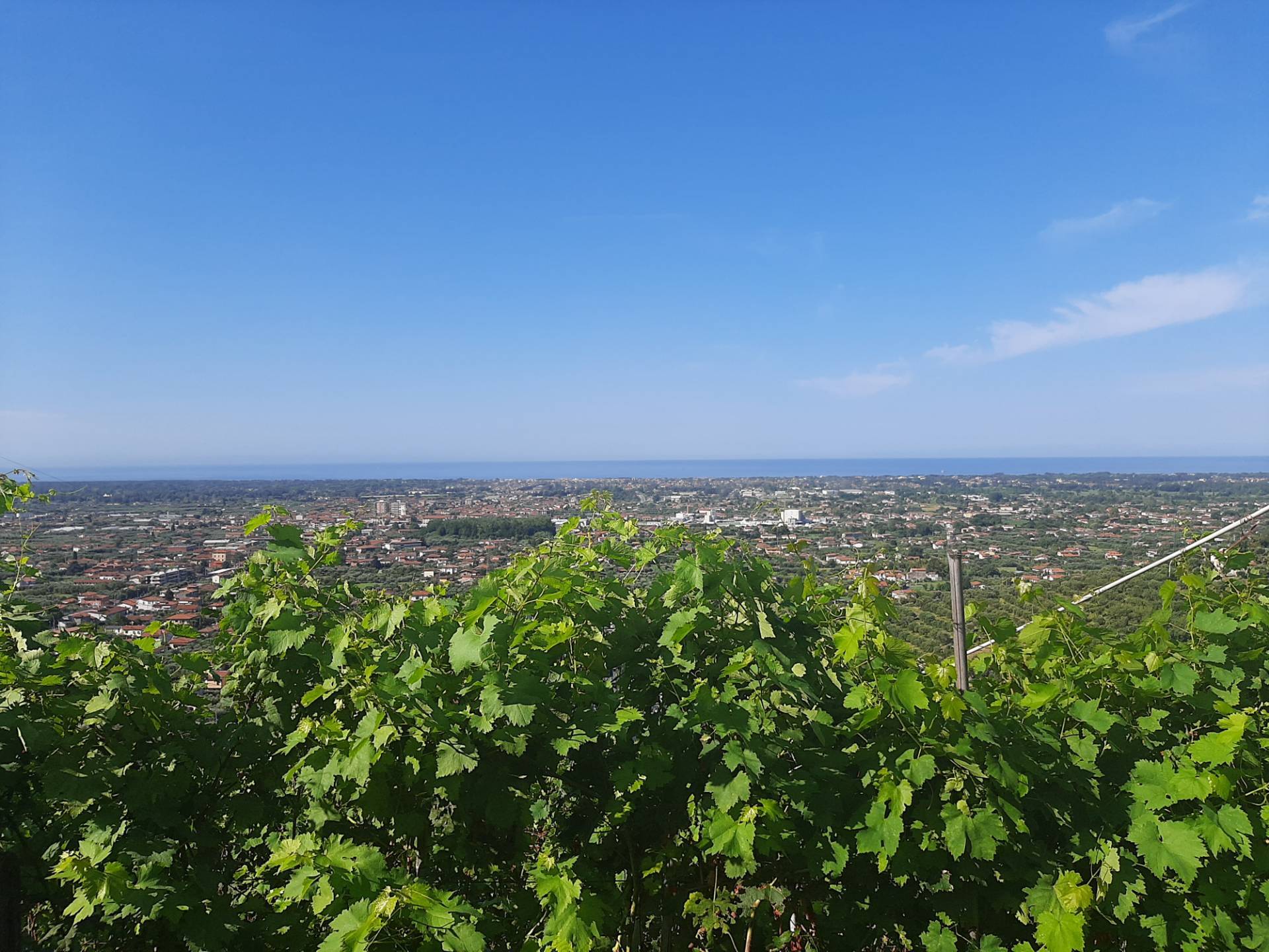 Rustico in vendita a Seravezza, Querceta