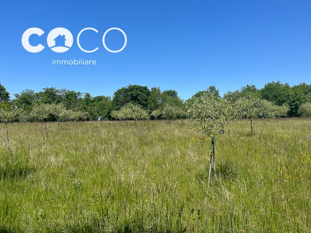 Terreno Agricolo in vendita a Sagrado