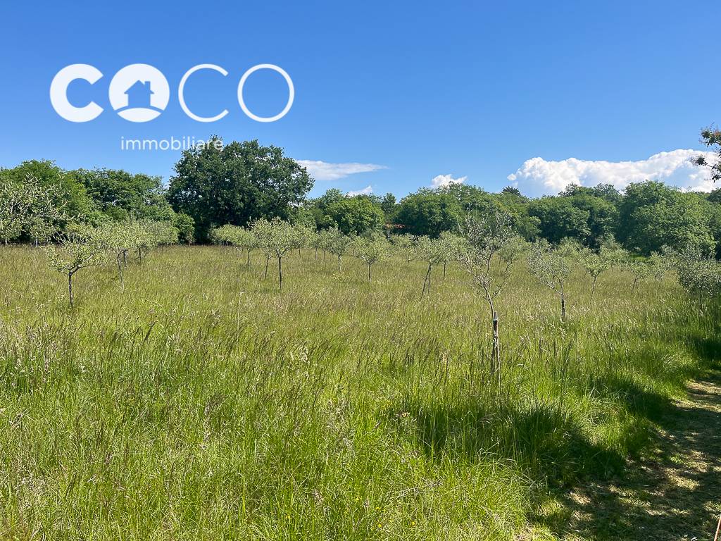 Terreno Agricolo in vendita a Sagrado
