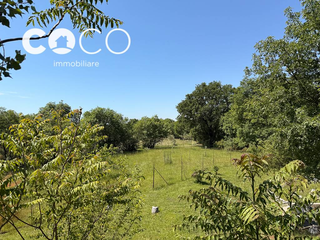 Terreno Agricolo in vendita a Sagrado