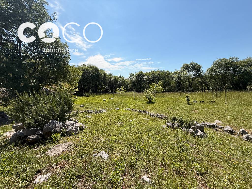 Terreno Agricolo in vendita a Sagrado