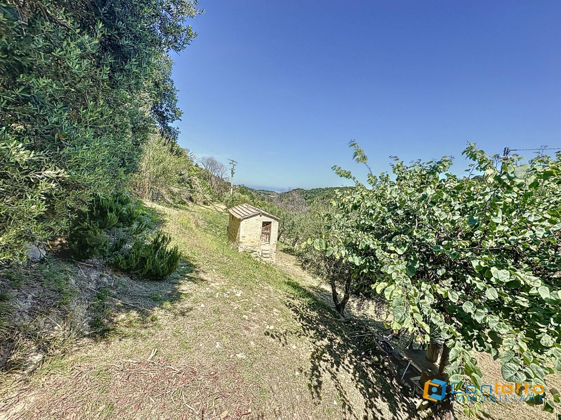 Rustico in vendita a Ripatransone