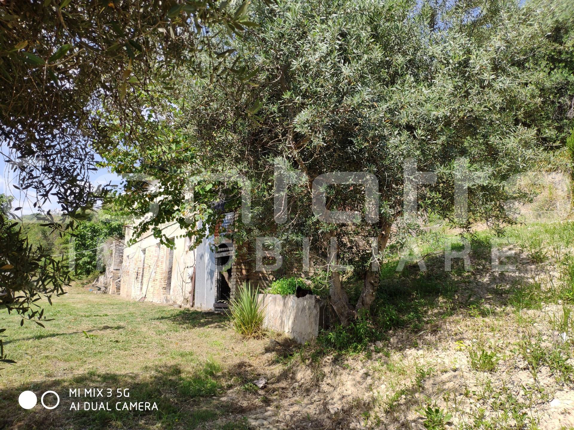 Rustico in vendita a Ripatransone