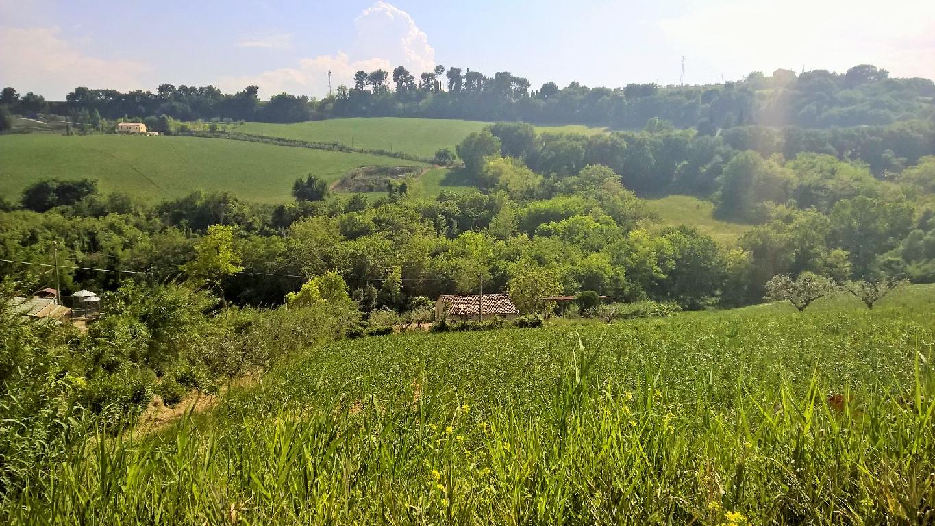 Rustico in vendita a Cupra Marittima