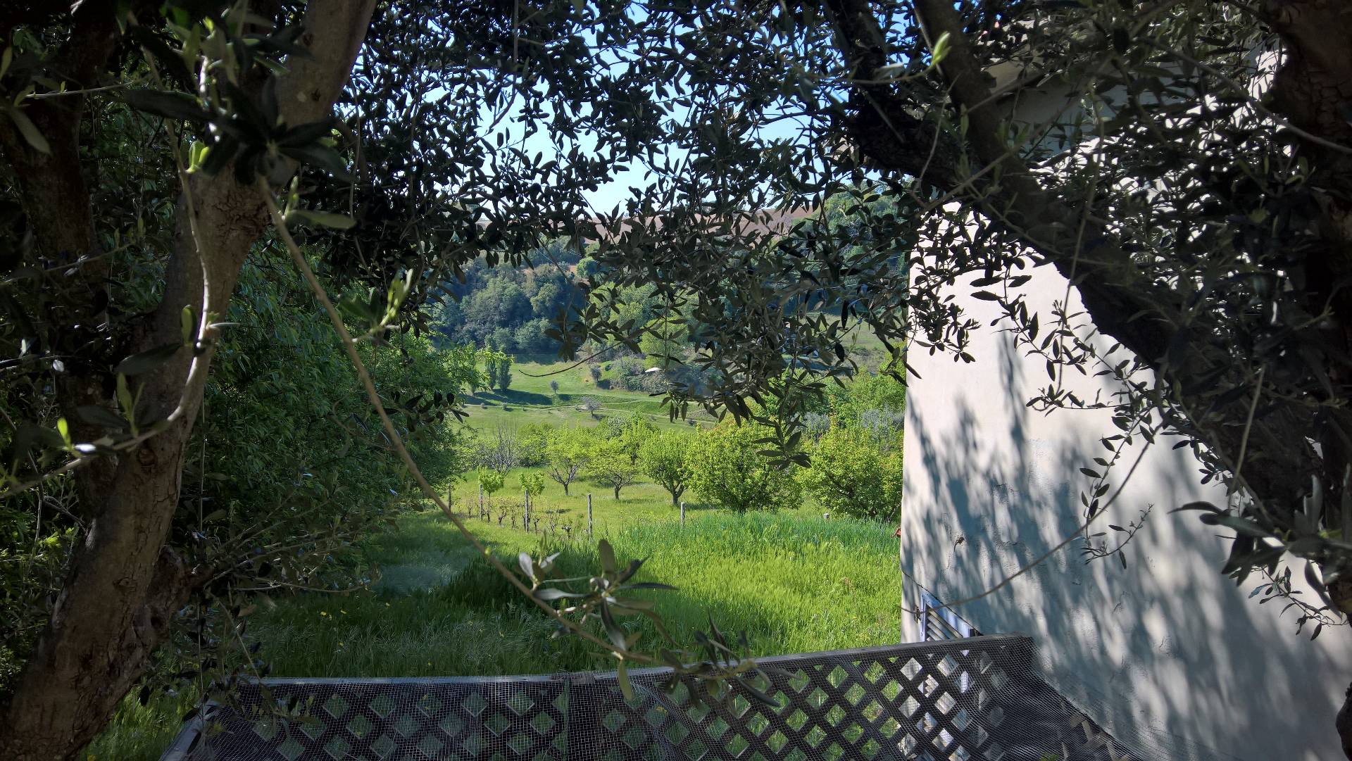 Rustico in vendita a Montefiore dell'Aso, San Giovanni