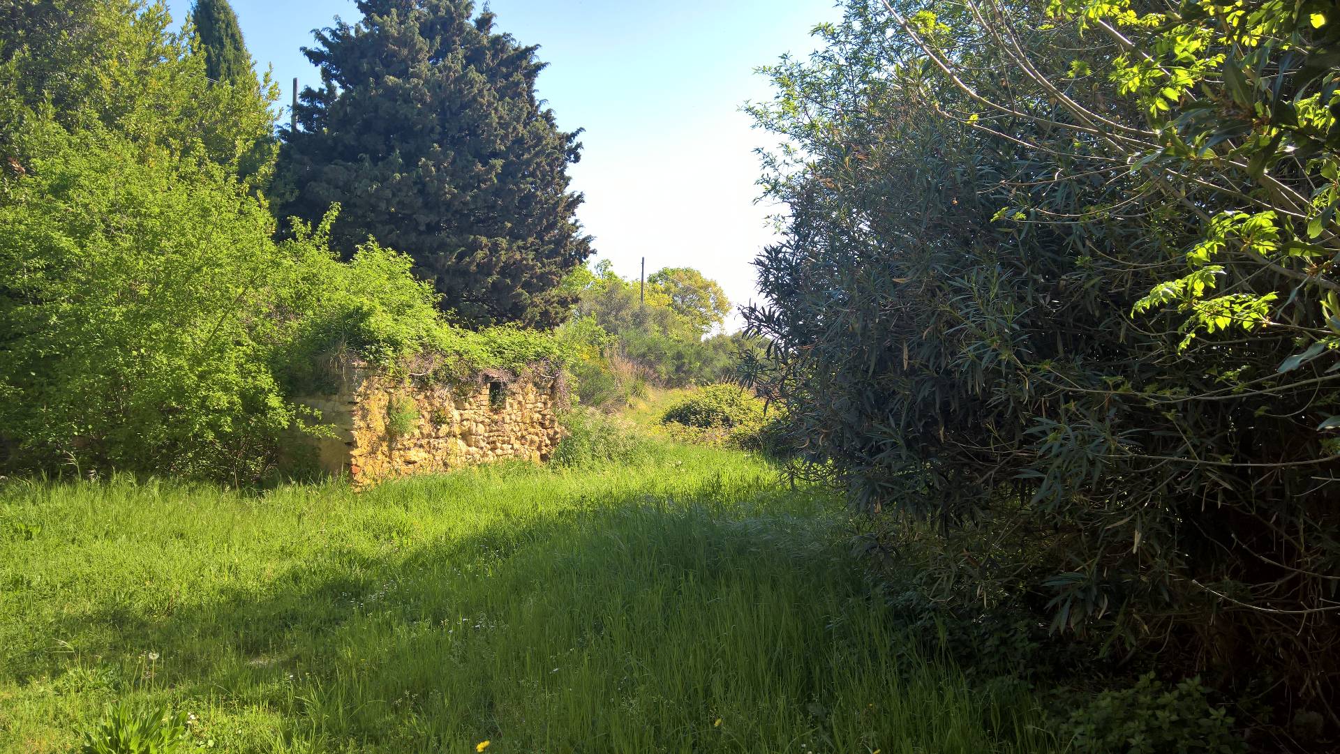 Rustico in vendita a Montefiore dell'Aso, San Giovanni