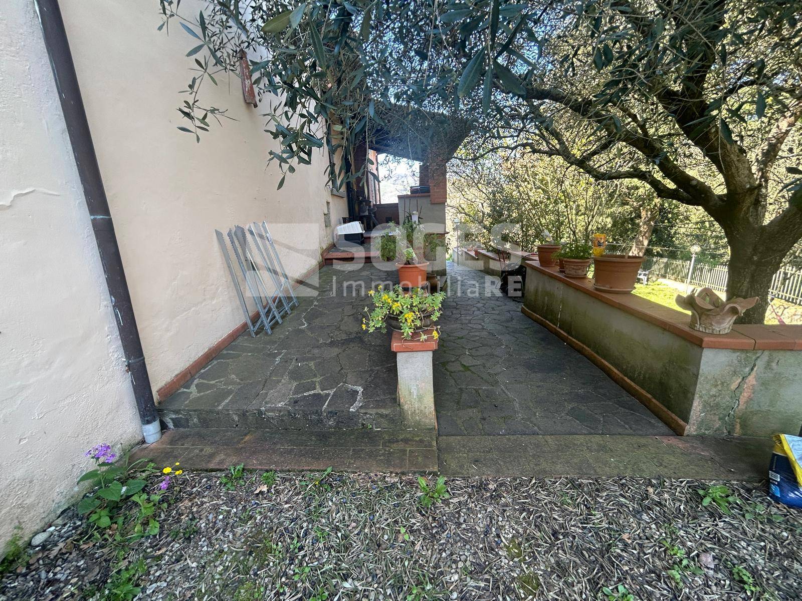 immagine annuncio 5 di 6