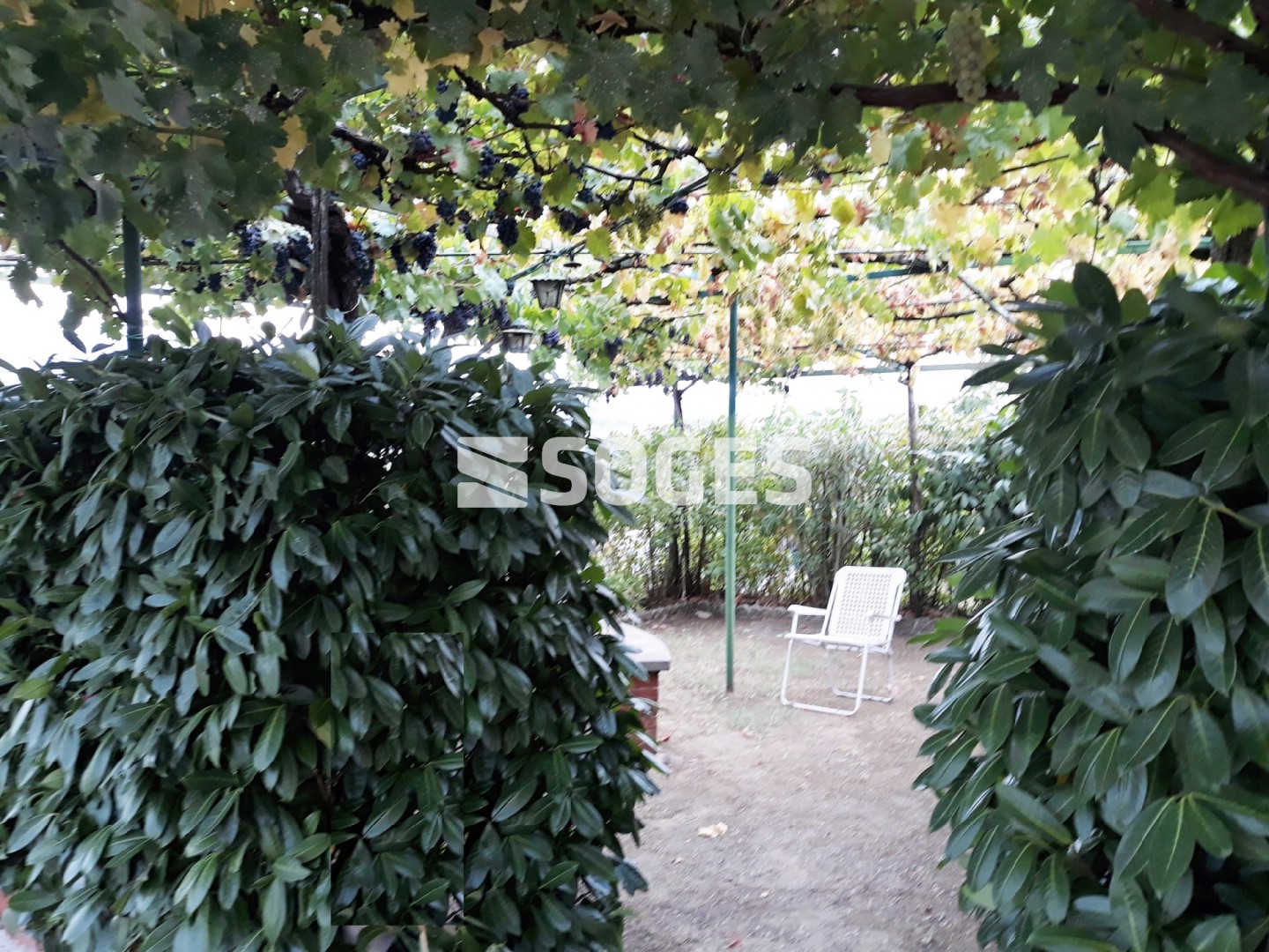 immagine annuncio 2 di 6