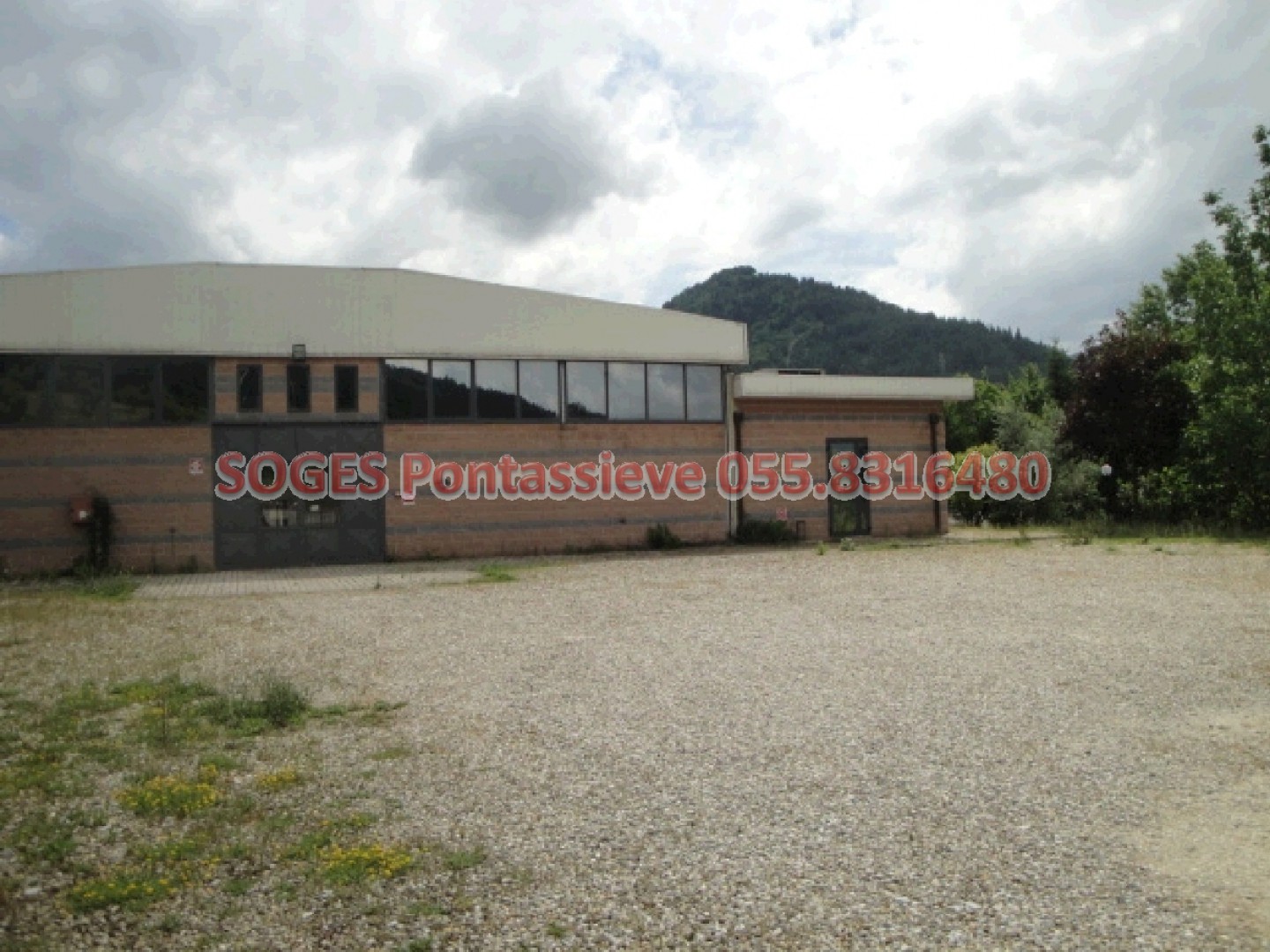 immagine annuncio 1 di 6