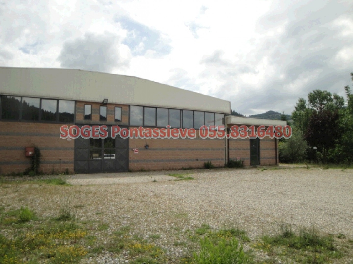 immagine annuncio 2 di 6