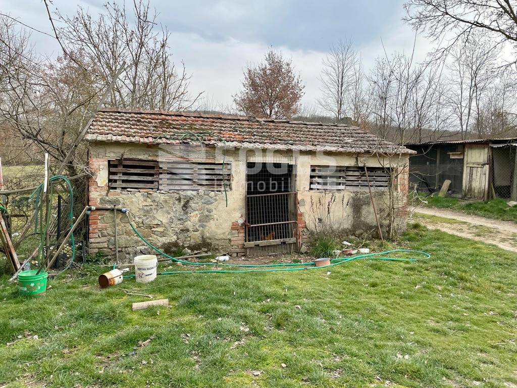 immagine annuncio 3 di 6