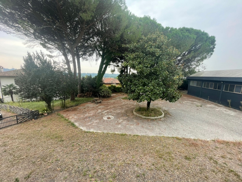 immagine annuncio 5 di 6