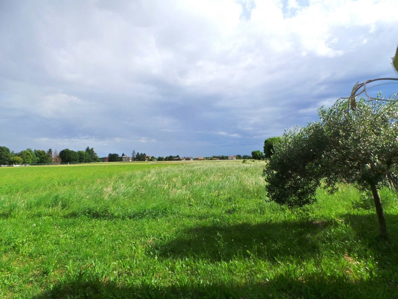 Casa indipendente con giardino a San Daniele del Friuli