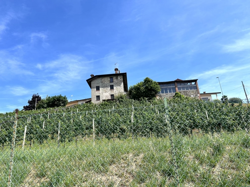 Casa indipendente in vendita a Cassacco