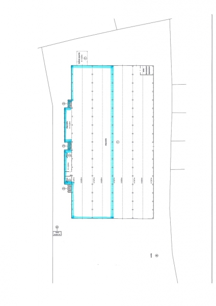 Capannone in affitto a Tavagnacco