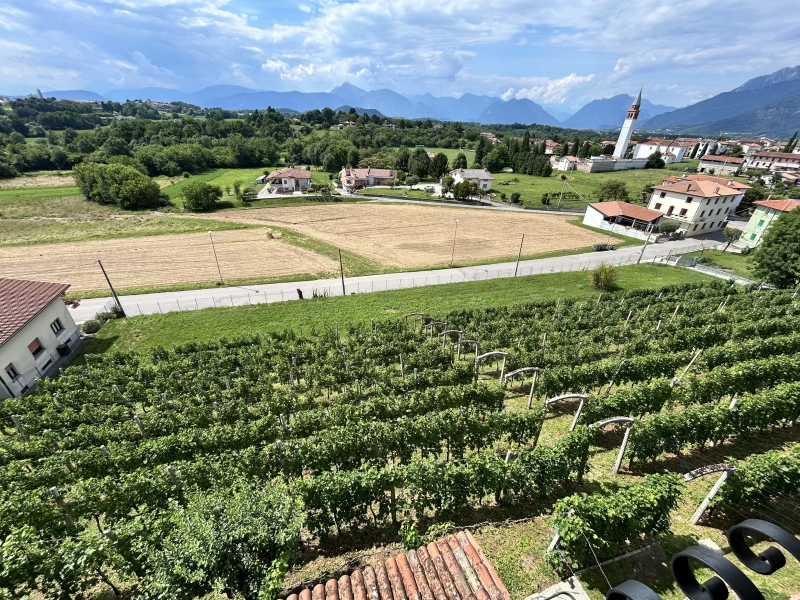 Casa indipendente in vendita a Cassacco