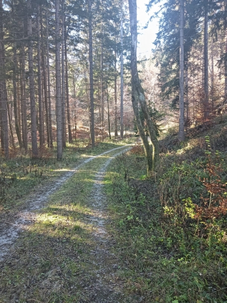 Monolocale in vendita a Tarvisio