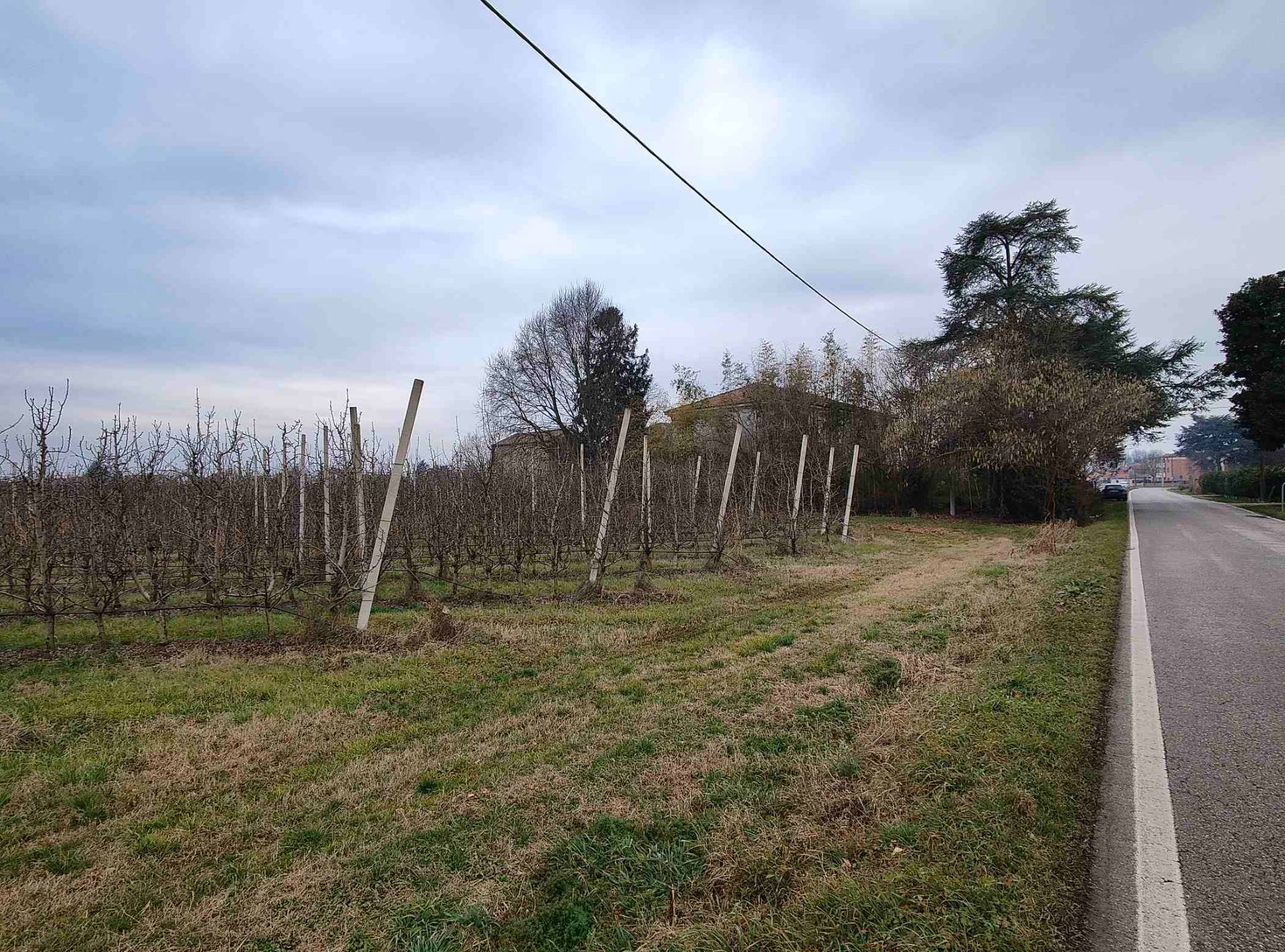 Terreno Agricolo in vendita a Ferrara, San Martino