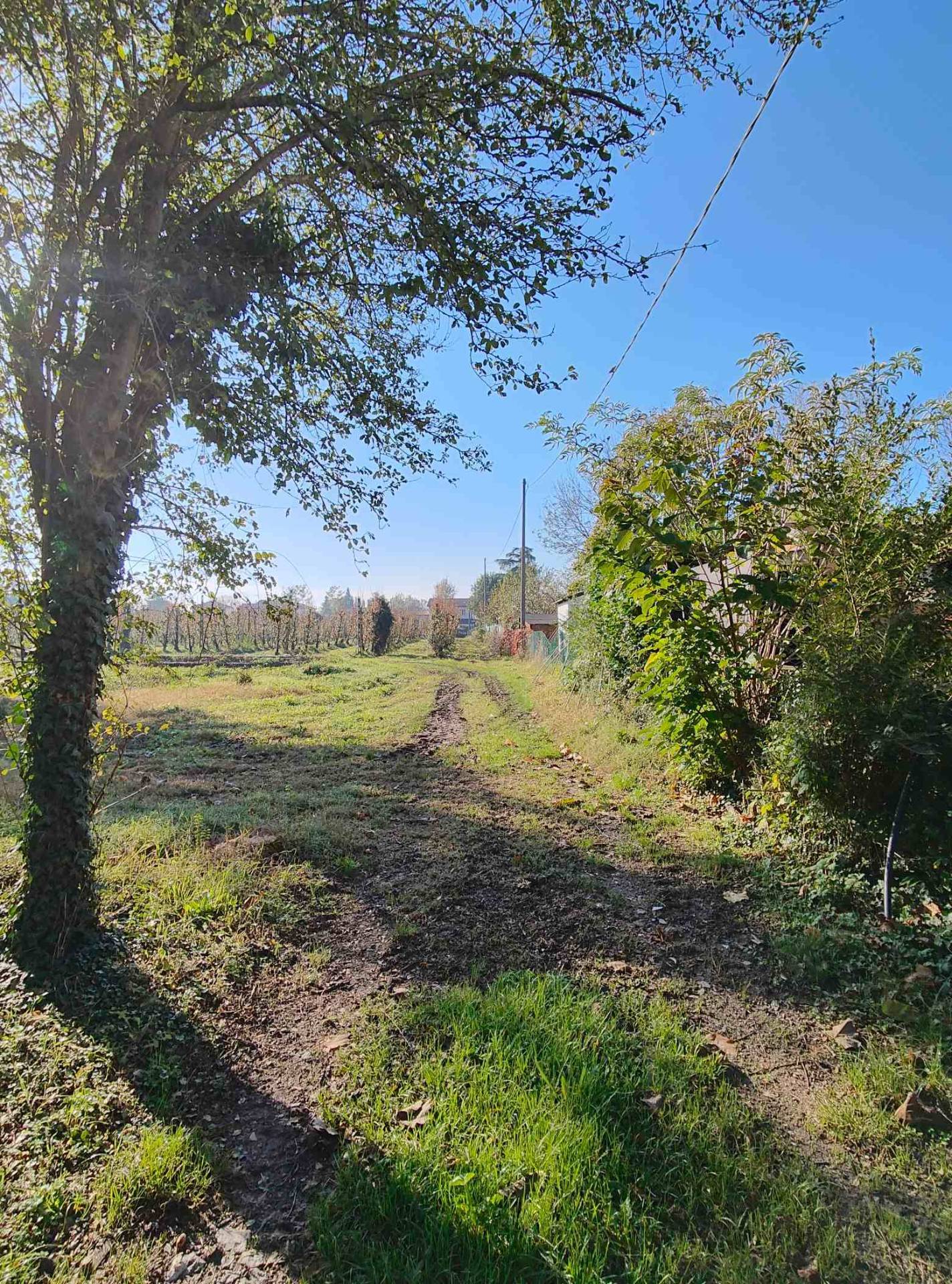 Terreno edificabile in vendita a Bondeno, Ponte Rodoni